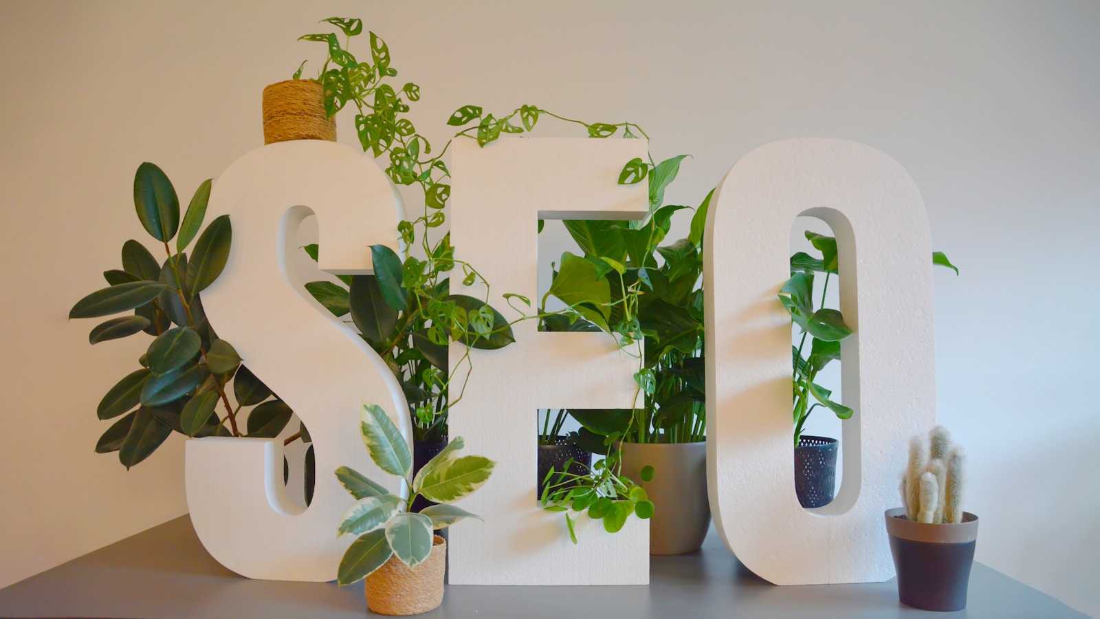 Photo by Lukas Müller a white sign with plants and a potted plant next to it